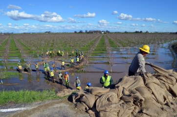 San Joaquin levee Repair