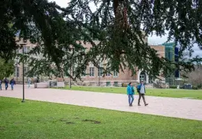 College campus walkway with building obscured by overhanging branches. 