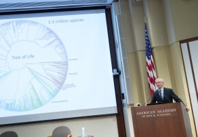 Doug Soltis discusses the Tree of Life at an event held at the Academy in Cambridge, MA.