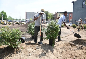 AmeriCorps volunteers plant shrubs in a vacant lot