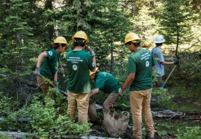 Conservation Corps Members at work in a Montana Forest