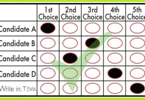 Sample Ranked Choice Voting Ballot from Alaska Voter Education Materials