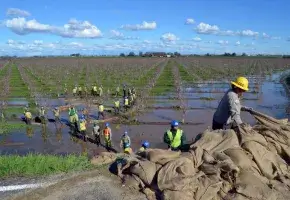 San Joaquin levee repair