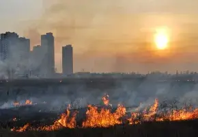 Fire raging in foreground with buildings in the background and sun.