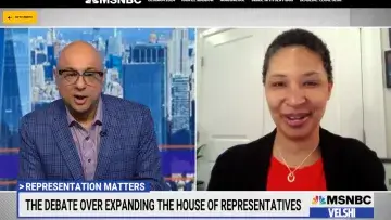 Danielle Allen on MSNBC with Ali Velshi